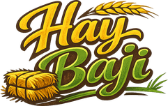 hay baji